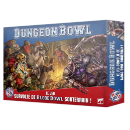 Dungeon Bowl: Le Jeu...