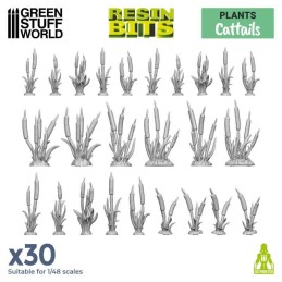 Plantes CATTAILS x30