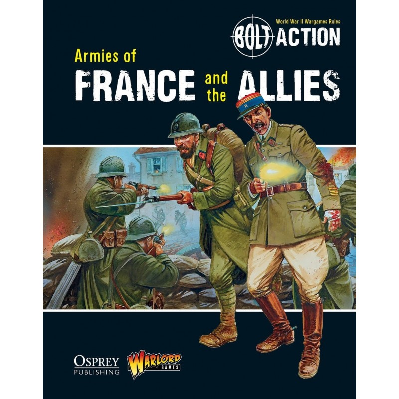 Couverture Livre: Armies of France and the Allies