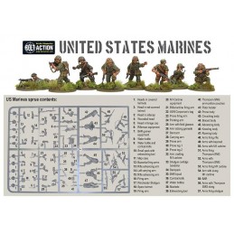 Détail Starter US Marine Corps