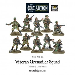 Figurines Veteran Grenadiers Squad