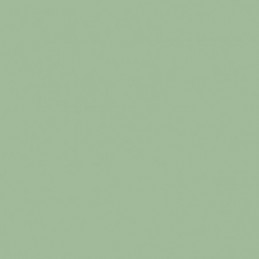 Rendu Gamme classic Vert Pastel - FS 34424